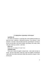 Referāts 'Ražošanas tehnoloģiskais projekts ēdināšanas uzņēmumam', 42.