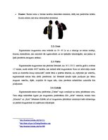 Referāts 'SIA "Ķengurs" ergonomiskās mugursomas', 6.