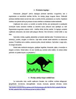 Referāts 'SIA "Ķengurs" ergonomiskās mugursomas', 7.