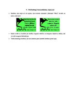 Referāts 'SIA "Ķengurs" ergonomiskās mugursomas', 12.