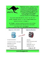 Referāts 'SIA "Ķengurs" ergonomiskās mugursomas', 13.