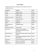 Konspekts 'Sauso maisījumu rūpnīca "Sakret"', 7.