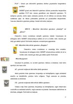 Konspekts 'Sauso maisījumu rūpnīca "Sakret"', 11.