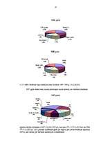 Referāts 'Latvijas reklāmas un reklāmas tirgus attīstība', 19.