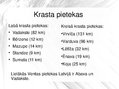 Prezentācija 'Latvijas upe Venta', 7.