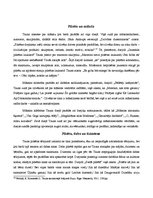 Referāts 'Pilsēta Linarda Tauna krājumos "Mūžīgais mākonis" un "Laulības ar pilsētu"', 5.