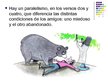 Prezentācija 'Los dos amigos y el oso', 9.