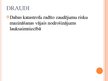 Prezentācija 'Lauksaimniecības un zivsaimniecības stiprās un vājās puses', 23.