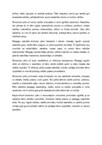 Eseja 'Tematiskais plāns pirmsskolai visam gadam: gada aktivitātes, sadarbība un bērnu ', 5.