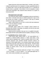 Referāts 'Isnaudas pagasta sociālās infrastruktūras attīstības stratēģija', 10.