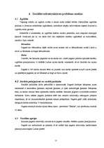 Referāts 'Isnaudas pagasta sociālās infrastruktūras attīstības stratēģija', 13.