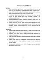 Referāts 'Isnaudas pagasta sociālās infrastruktūras attīstības stratēģija', 18.