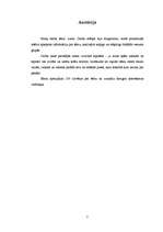 Referāts 'Aura - dvēseles spogulis', 2.