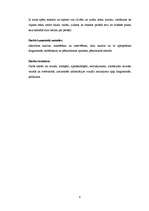 Referāts 'Aura - dvēseles spogulis', 6.