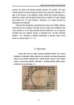 Referāts 'Rīgas centra parku atbilstība rekreācijas funkcijai', 9.