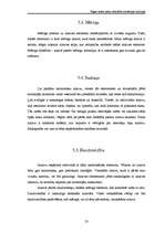 Referāts 'Rīgas centra parku atbilstība rekreācijas funkcijai', 23.