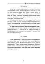 Referāts 'Rīgas centra parku atbilstība rekreācijas funkcijai', 25.