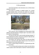 Referāts 'Rīgas centra parku atbilstība rekreācijas funkcijai', 30.