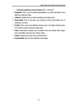 Referāts 'Rīgas centra parku atbilstība rekreācijas funkcijai', 32.