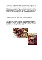 Konspekts 'Latviešu nacionālie ēdieni salīdzinājumā ar Lielbritānijas un Anglijas nacionālo', 3.