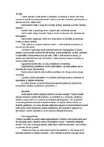 Referāts 'Psihiskās pašregulācijas teorija un personīgā pieredze', 5.