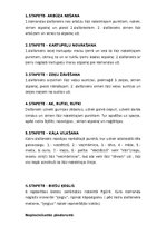 Konspekts 'Miķeļdienas pasākumi skola', 14.