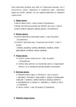 Konspekts 'Miķeļdienas pasākumi skola', 18.