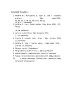 Konspekts 'Miķeļdienas pasākumi skola', 20.