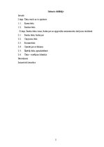 Referāts 'Čeki, to emisija un pielietošana norēķinos', 2.