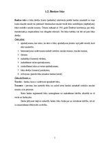 Referāts 'Čeki, to emisija un pielietošana norēķinos', 5.