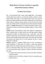 Referāts 'Čeki, to emisija un pielietošana norēķinos', 6.