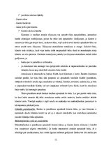 Referāts 'Čeki, to emisija un pielietošana norēķinos', 12.