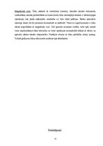 Referāts 'Čeki, to emisija un pielietošana norēķinos', 14.