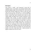 Referāts 'Ozona slānis un tā noārdošās vielas', 16.