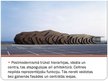 Prezentācija 'Postmodernisms', 7.