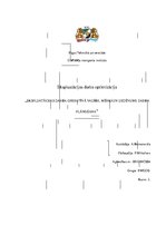 Referāts 'Ekspluatācijas darba operatīvā vadība, mērķi un uzdevumi, darba plānošana', 1.