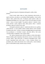 Referāts 'Ekspluatācijas darba operatīvā vadība, mērķi un uzdevumi, darba plānošana', 22.