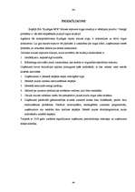 Referāts 'Maizes ceptuves saimnieciskās darbības analīze', 94.