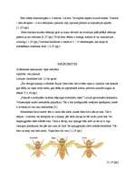 Referāts 'Bites', 6.