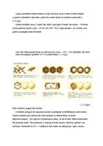 Referāts 'Bites', 7.