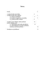 Referāts 'Kredīta risks', 2.