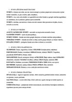 Konspekts 'Sporta pamati', 1.