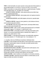 Konspekts 'Sporta pamati', 3.