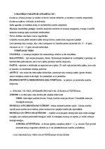 Konspekts 'Sporta pamati', 4.