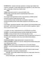 Konspekts 'Sporta pamati', 5.