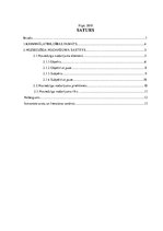 Referāts 'Noziedzīga nodarījuma objekts, priekšmets un rīks', 2.