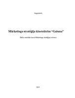 Referāts 'Mārketinga stratēģija kinoteātrim "Gaisma"', 1.