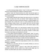 Referāts 'Mārketinga stratēģija kinoteātrim "Gaisma"', 5.