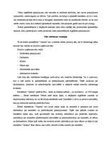 Referāts 'Mārketinga stratēģija kinoteātrim "Gaisma"', 11.