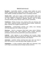 Referāts 'Pilsoniskā sabiedrība Latvijā', 3.